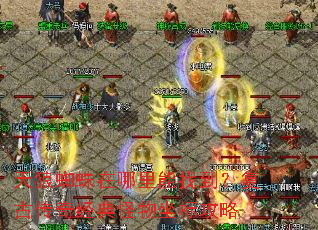 ����֩�����������ҵ������Ŵ��澭��������깥��