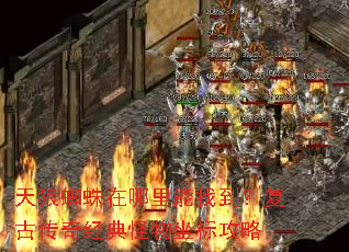 ����֩�����������ҵ������Ŵ��澭��������깥��