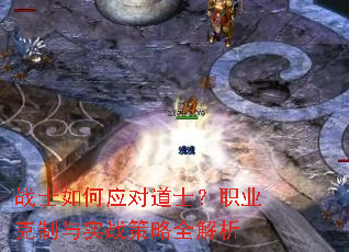 սʿ���Ӧ�Ե�ʿ��ְҵ������ʵս����ȫ����