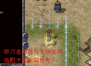 �ϵ�־�����������δ�����ܳưԴ��棿