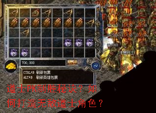 ��ʿPK��ʤ�ؾ�����δ����޵е�ʿ��ɫ��