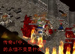 ����sf�У����׷Ѱ�����㲻����ʲô��