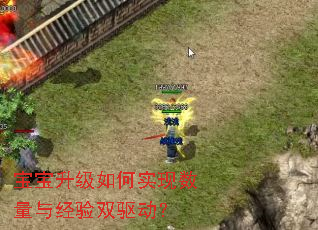 �����������ʵ�������뾭��˫������