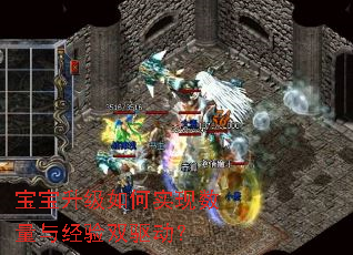 �����������ʵ�������뾭��˫������