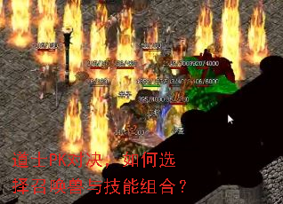 ��ʿPK�Ծ������ѡ���ٻ����뼼����ϣ�