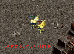 ���ִ��涥��������������Щ��