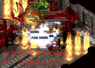 ˽�����������������NPC���㾿����ʶ������