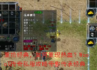 ��ʰ���䣬���������Ѫ��Woool����˽�����Դ��㴫�о���