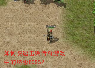 ��ο��ٻ��ܴ�����Ϸ�е��ռ�BOSS��