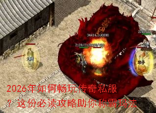 2026����γ��洫��˽������ݱض���������ư��귨