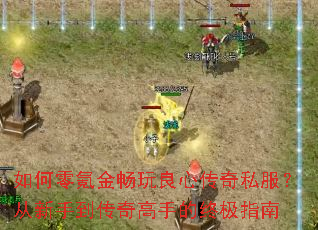 �����봽������Ĵ���˽���������ֵ�������ֵ��ռ�ָ��