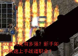 ս�������ж�ǿ��������ο�������ս��ְҵ��