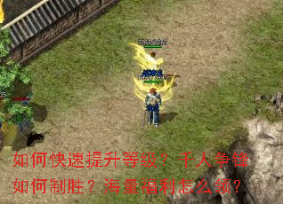 ��ο��������ȼ���ǧ�����������ʤ������������ô�죿