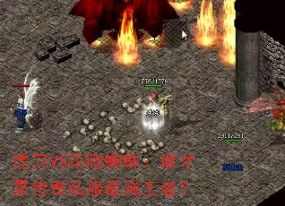 虎卫VS花吻蜘蛛:谁才是传奇私服最强王者? 虎卫VS花吻蜘蛛:谁才是传奇私服最强王者?