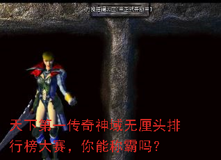 天下第一传奇神域无厘头排行榜大赛,你能称霸吗? 天下第一传奇神域无厘头排行榜大赛,你能称霸吗?