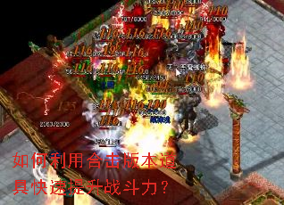 ������úϻ��汾���߿�������ս������