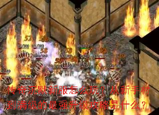 传奇沉默新服怎么玩?从新手村到满级的最强升级攻略是什么? 传奇沉默新服怎么玩?从新手村到满级的最强升级攻略是什么?