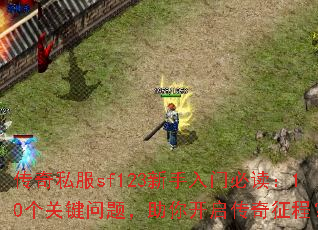����˽��sf123�������űض���10���ؼ����⣬���㿪���������̣�