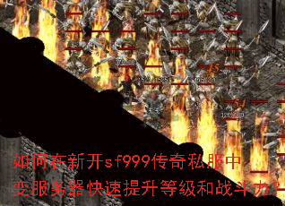 ������¿�sf999����˽���б���������������ȼ���ս������