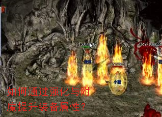 ���ͨ��ǿ���븽ħ����װ�����ԣ�