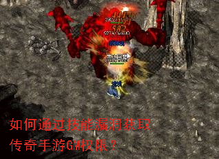 ���ͨ������©����ȡ��������GMȨ�ޣ�