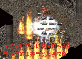 ��ε�ǹƥ���ưԴ���˽�����������������뷢չȫ����