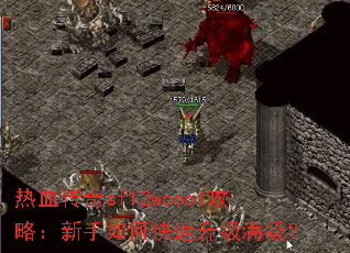 ��Ѫ����sf12woool���ԣ�������ο�������������