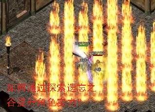 如何通过探索遗忘之谷提升角色实力? 如何通过探索遗忘之谷提升角色实力?