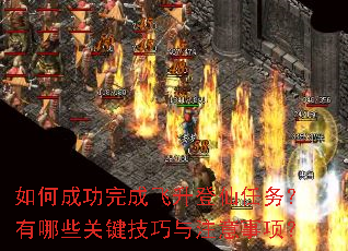 ��γɹ���ɷ���������������Щ�ؼ�������ע�����