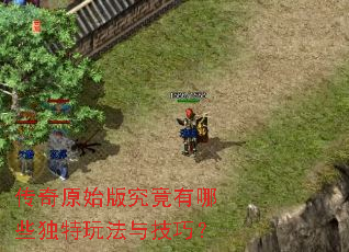 传奇原始版究竟有哪些独特玩法与技巧? 传奇原始版究竟有哪些独特玩法与技巧?