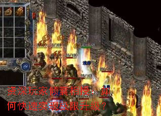 资深玩家倾囊相授:如何快速实现极限升级? 资深玩家倾囊相授:如何快速实现极限升级?
