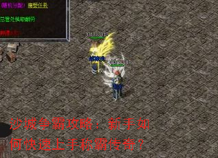 ɳ�����Թ��ԣ�������ο������ֳưԴ��棿
