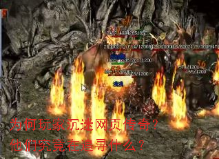 Ϊ����ҳ�����ҳ���棿���Ǿ�����׷Ѱʲô��