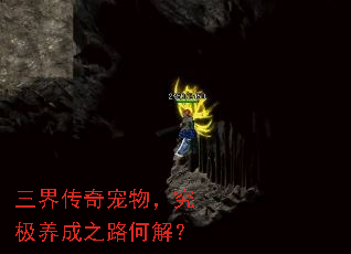 ���紫������������֮·�ν⣿