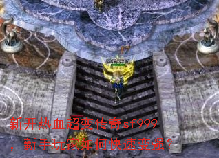 �¿���Ѫ���䴫��sf999�����������ο��ٱ�ǿ��