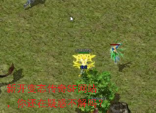 �¿���̬����SF��վ���㻹���ɻ󲻽���