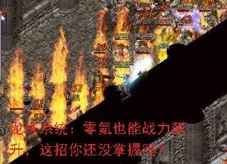 龙珠系统:零氪也能战力飙升,这招你还没掌握吗? 龙珠系统:零氪也能战力飙升,这招你还没掌握吗?