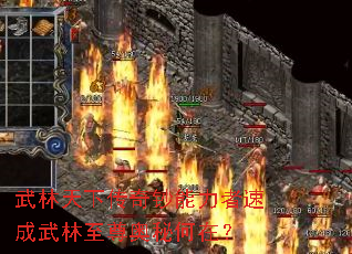 武林天下传奇钞能力者速成武林至尊奥秘何在? 武林天下传奇钞能力者速成武林至尊奥秘何在?