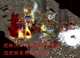 武林天下传奇钞能力者速成武林至尊奥秘何在? 武林天下传奇钞能力者速成武林至尊奥秘何在?