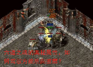 六道之魂的奥秘属性,如何驾驭方能所向披靡? 六道之魂的奥秘属性,如何驾驭方能所向披靡?