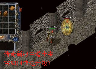 传奇新服中道士宝宝如何快速升级? 传奇新服中道士宝宝如何快速升级?