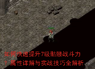 如何快速提升7级骷髅战斗力?属性详解与实战技巧全解析 如何快速提升7级骷髅战斗力?属性详解与实战技巧全解析