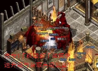 传奇1手机版新手如何快速升级与获取高级装备? 传奇1手机版新手如何快速升级与获取高级装备?