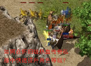 如何在怀旧版热血传奇私服中快速提升角色等级? 如何在怀旧版热血传奇私服中快速提升角色等级?