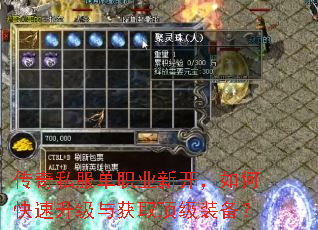 传奇私服单职业新开,如何快速升级与获取顶级装备? 传奇私服单职业新开,如何快速升级与获取顶级装备?