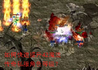 如何快速提升42魔法传奇私服角色等级? 如何快速提升42魔法传奇私服角色等级?