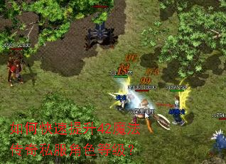 如何快速提升42魔法传奇私服角色等级? 如何快速提升42魔法传奇私服角色等级?