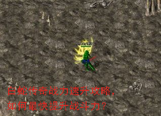 白蛇传奇战力速升攻略,如何最快提升战斗力? 白蛇传奇战力速升攻略,如何最快提升战斗力?