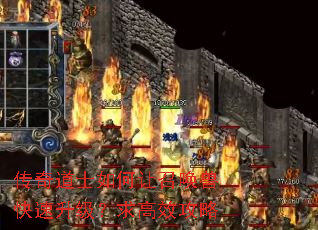 传奇道士如何让召唤兽快速升级?求高效攻略 传奇道士如何让召唤兽快速升级?求高效攻略