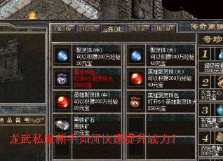 龙武私服新手如何快速提升战力? 龙武私服新手如何快速提升战力?
